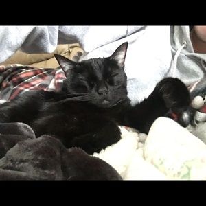 Meet your Posher, Stacey